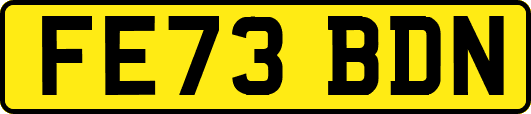FE73BDN