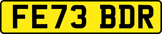 FE73BDR