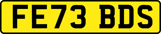 FE73BDS