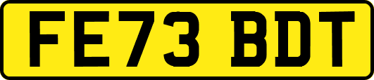 FE73BDT