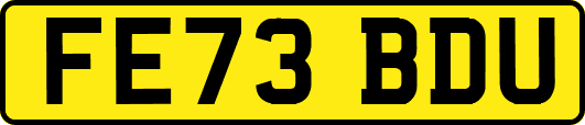 FE73BDU