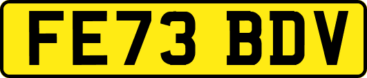 FE73BDV