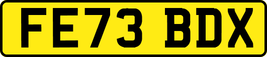 FE73BDX