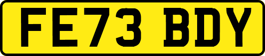FE73BDY