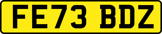 FE73BDZ