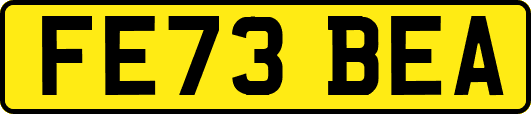 FE73BEA