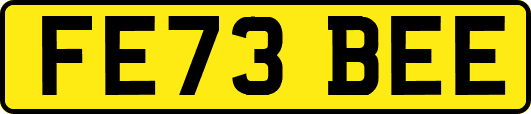 FE73BEE