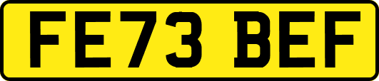 FE73BEF