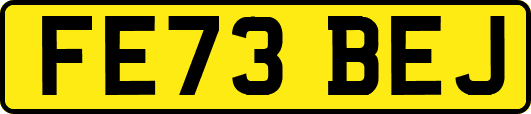 FE73BEJ