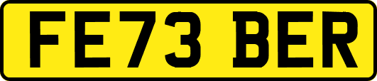FE73BER