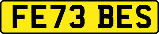 FE73BES