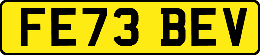 FE73BEV