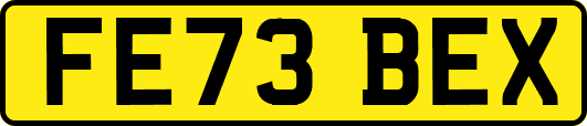 FE73BEX