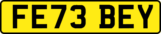 FE73BEY