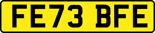 FE73BFE