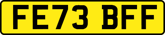 FE73BFF