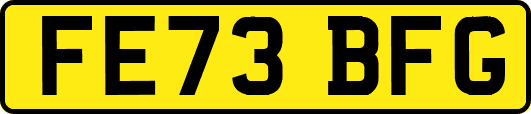 FE73BFG