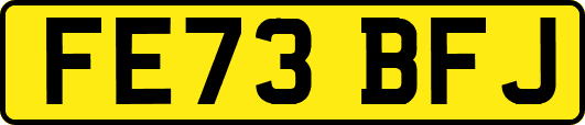 FE73BFJ