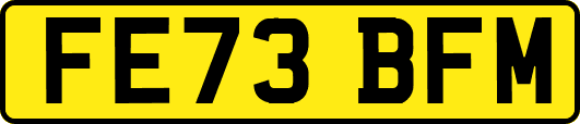 FE73BFM