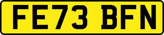 FE73BFN