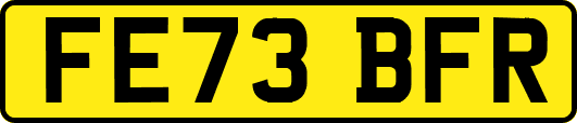 FE73BFR
