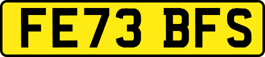 FE73BFS