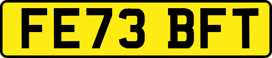 FE73BFT