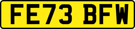 FE73BFW