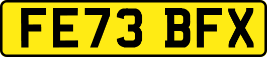 FE73BFX