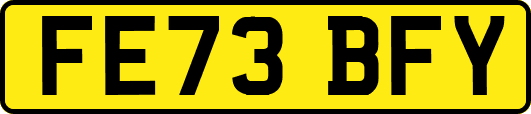 FE73BFY