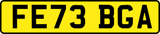 FE73BGA