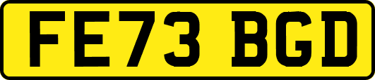 FE73BGD