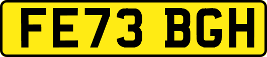 FE73BGH