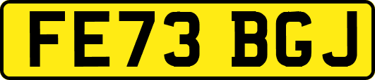 FE73BGJ