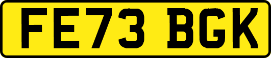 FE73BGK