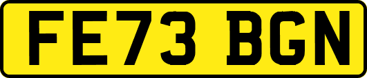 FE73BGN