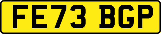 FE73BGP