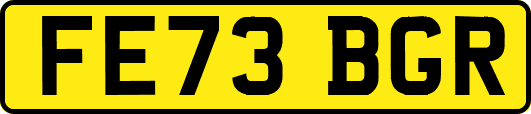 FE73BGR