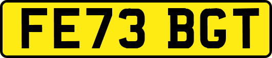 FE73BGT