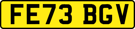 FE73BGV