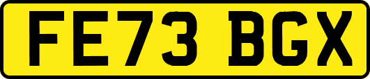FE73BGX