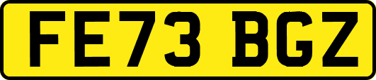 FE73BGZ