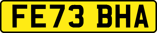 FE73BHA