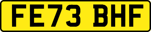 FE73BHF