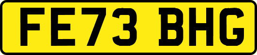 FE73BHG