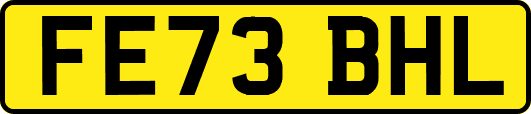 FE73BHL