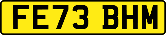 FE73BHM