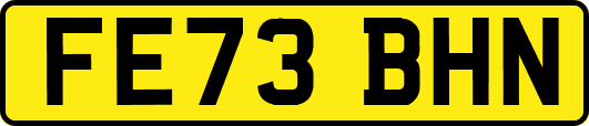 FE73BHN