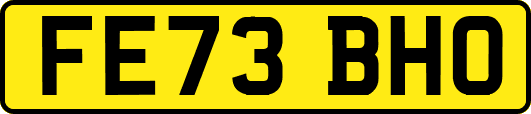 FE73BHO