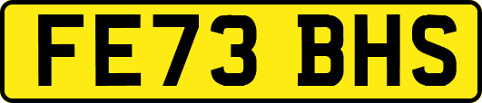 FE73BHS